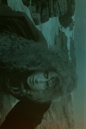 L'Océan ou les enfants de la mer