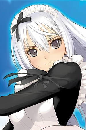 彼女は花嫁候補生?