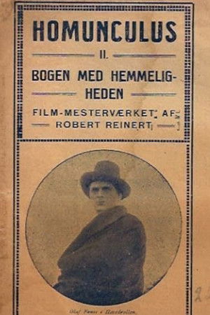 Homunculus, 2. Teil: Das geheimnisvolle Buch