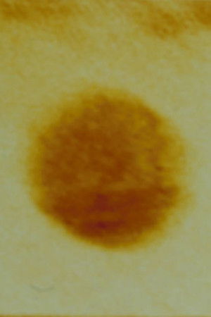 Arabic Numeral Series 2