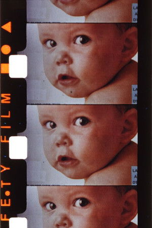 Journal de Michel Nedjar (août 85)