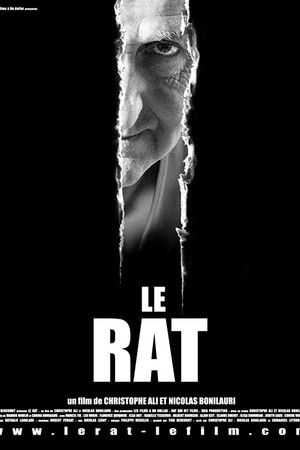 Le rat
