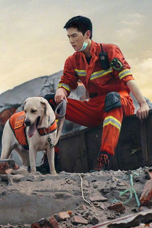 Fireworks of My Heart