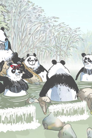 Pandas dans la brume