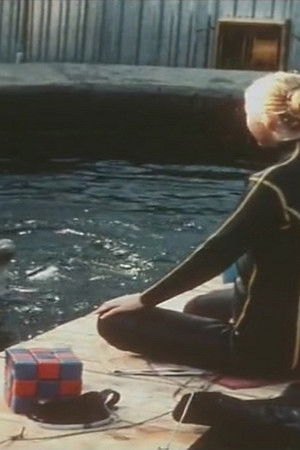 Люди и дельфины