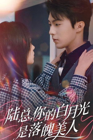 陆总, 你的白月光是落魄美人