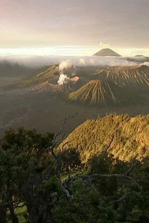 La Valse des continents