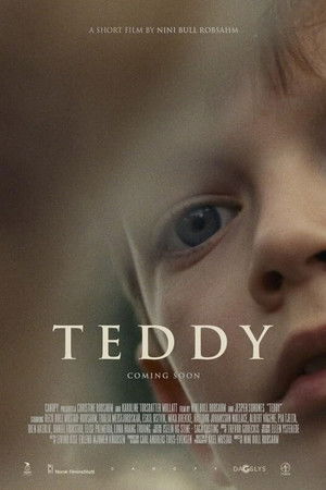 Teddy