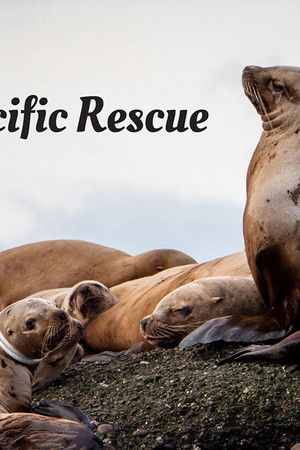 Wild Pacific Rescue