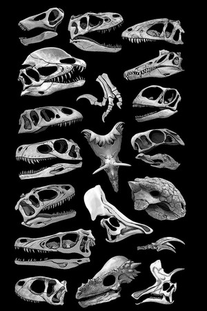 Untitled David Robert Mitchell Film