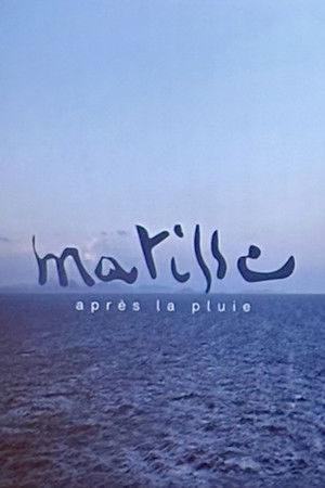 Matisse après la pluie