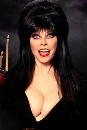 Elvira's 40th Anniversary, Very Scary, Very Special Special
