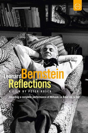 Leonard Bernstein: Reflections