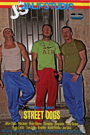 Street Dogs