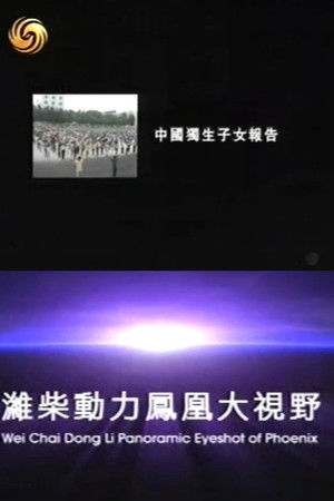 凤凰大视野：中国独生子女报告