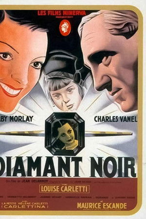 Le Diamant noir