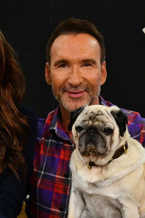 Promi Big Brother - Die Late Night Show