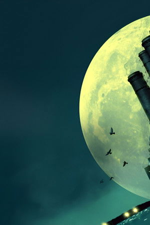 Разрешите обратиться