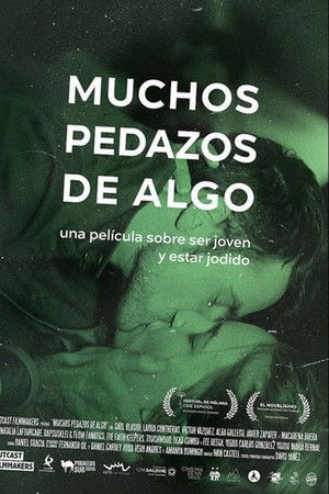 Muchos pedazos de algo