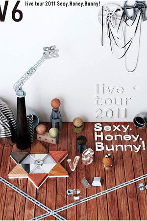 V6 live tour 2011 Sexy.Honey.Bunny!