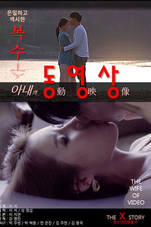아내의동영상