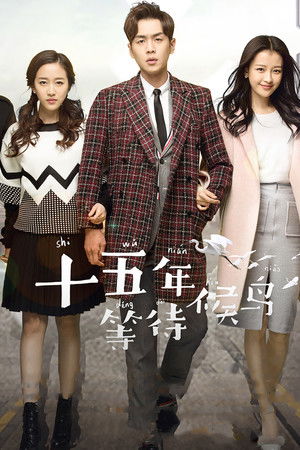 十五年等待候鸟