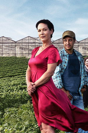 Le temps des framboises