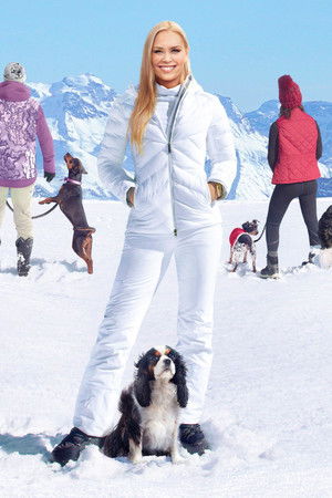 Köpekler ve Ortakları