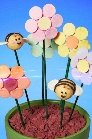 Kids Baking Championship