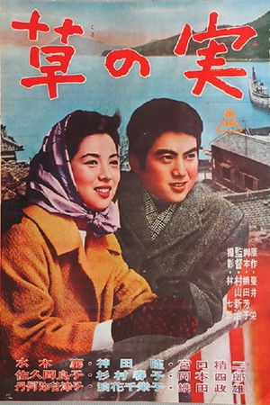 純愛物語　草の実