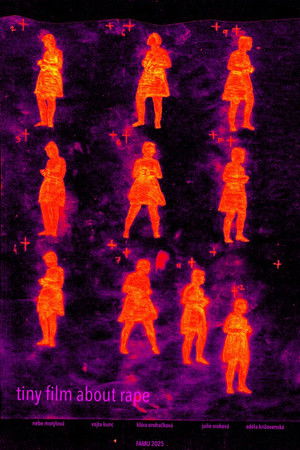 malý film o znásilnění