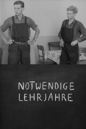 Notwendige Lehrjahre