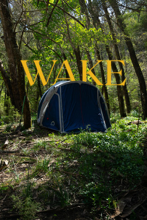 Wake