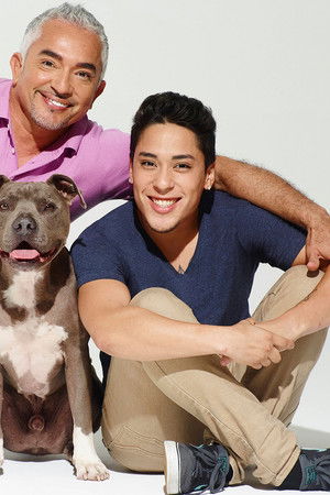 Cesar Millan's Dog Nation