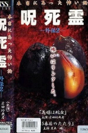 咒.死.灵外传2 本当にあった怖い話 呪死霊 外伝2