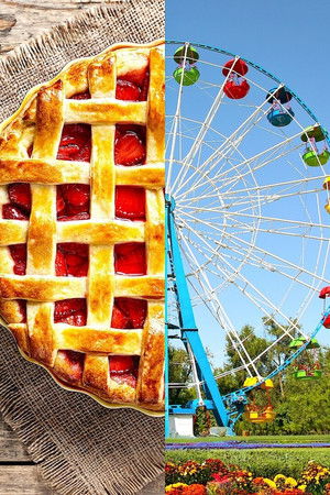 Mavi Kurdeleliler Yarışıyor