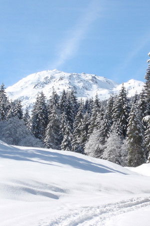 Weißblaue Wintergeschichten