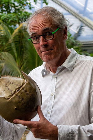 Govert naar de oorsprong van de mens