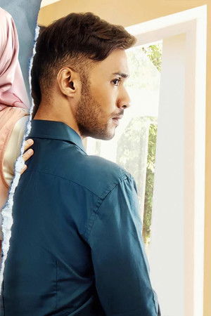 Wedding Agreement: The Series