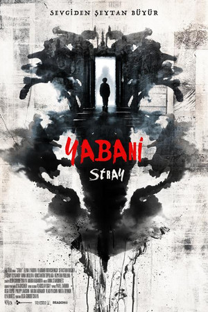 Yabani - Stray