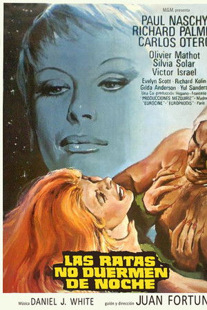 Las ratas no duermen de noche