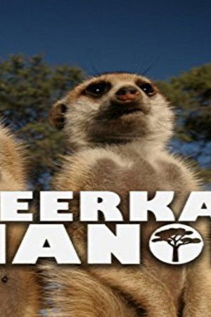 Meerkat Manor