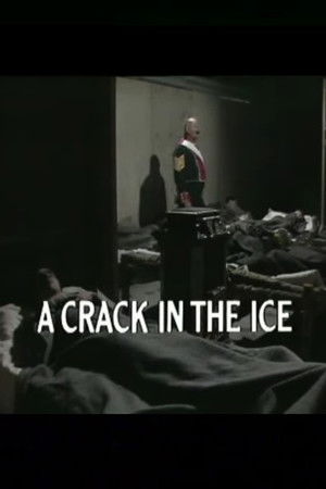 A Crack in the Ice