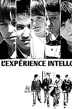 L'expérience Intello