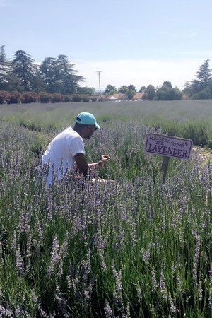 The Forfeiture Clause