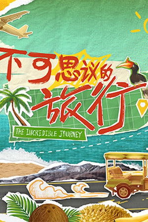 不可思议的旅行