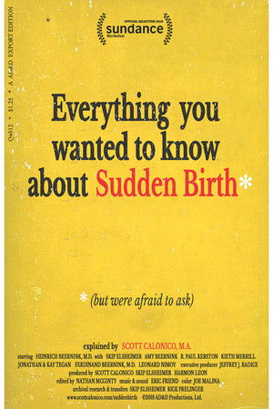 Everything You Wanted to Know About Sudden Birth (but were afraid to ask)