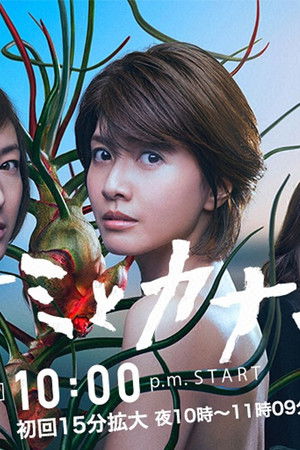 ナオミとカナコ