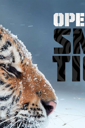 Operation Snow Tiger
