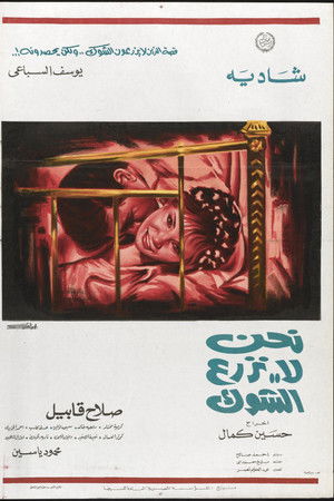 نحن لا نزرع الشوك